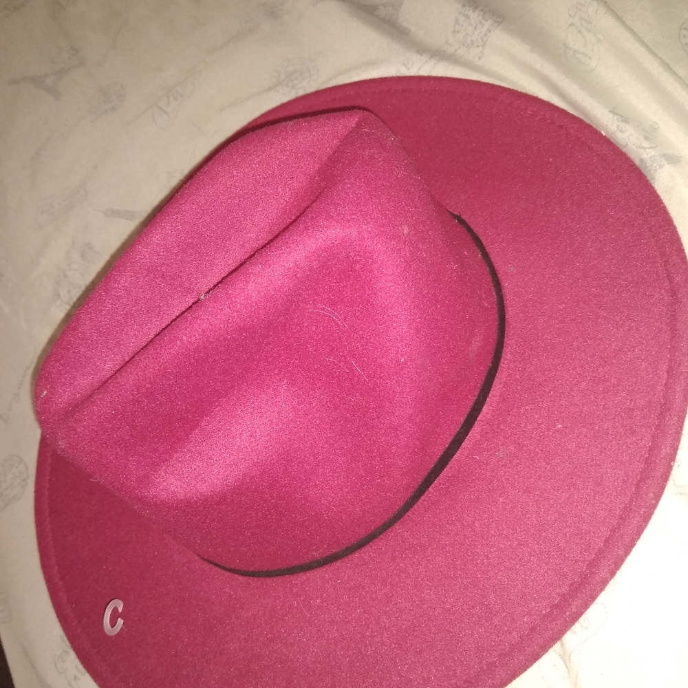 Panama Hat - image 4